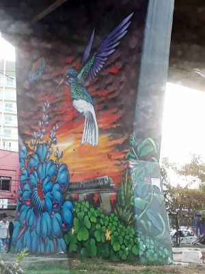 Arte de Rua - MAAU - São Paulo