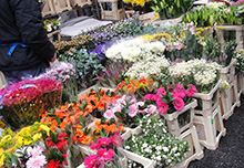 columbia road flower market londres