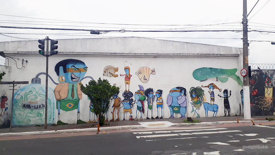 Grafite - SP - Crânio