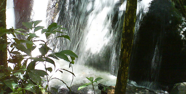 Parque da Cantareira - Núcleo Engordador - Cachoeira - SP
